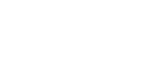 STS_logo